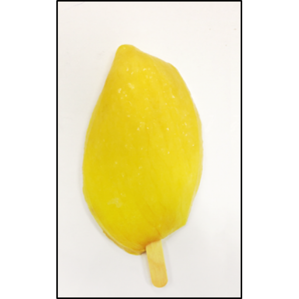 FROZEN FRESH MANGO WOODEN STICK
