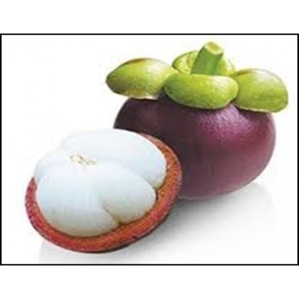 FROZEN FRESH MANGOSTEEN