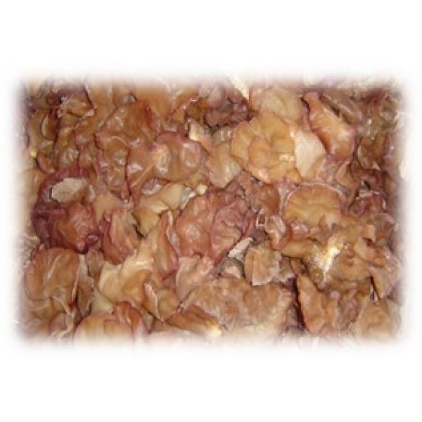 JEW' S EAR