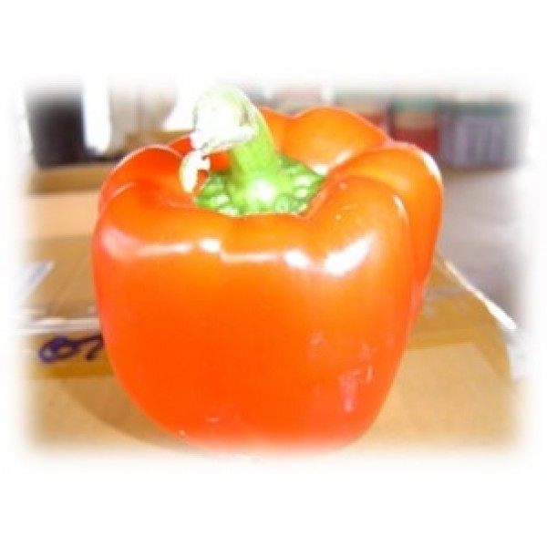 SWEET PEPPER